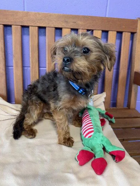 Charlie thumbnail 2