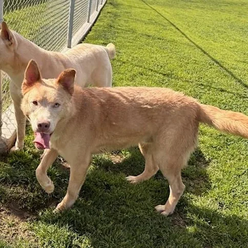 Mr. Peaches thumbnail 2