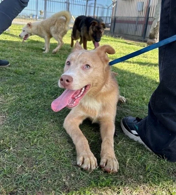 Mr. Peaches thumbnail 3