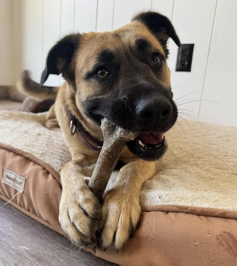 Princess thumbnail 2