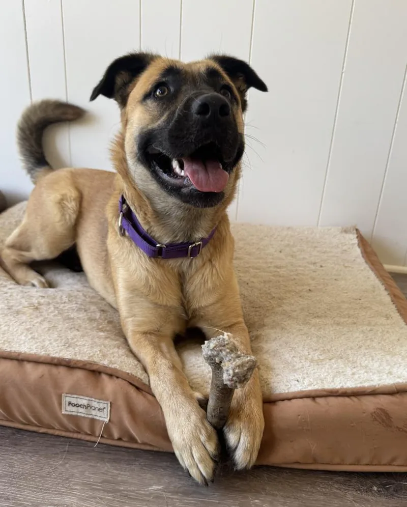 Princess thumbnail 3