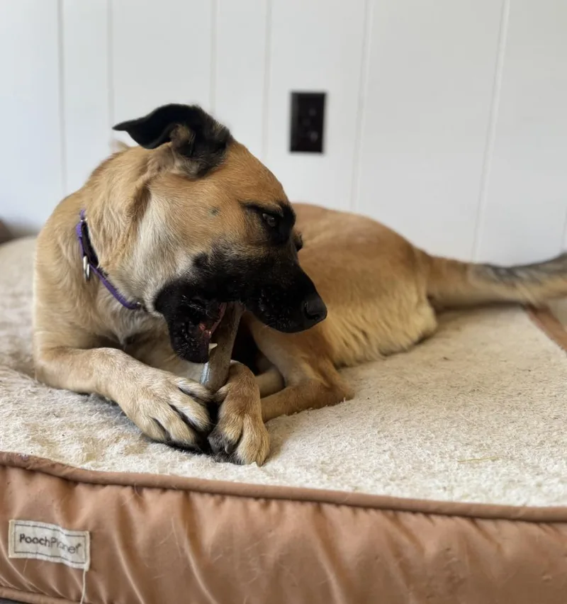 Princess thumbnail 4