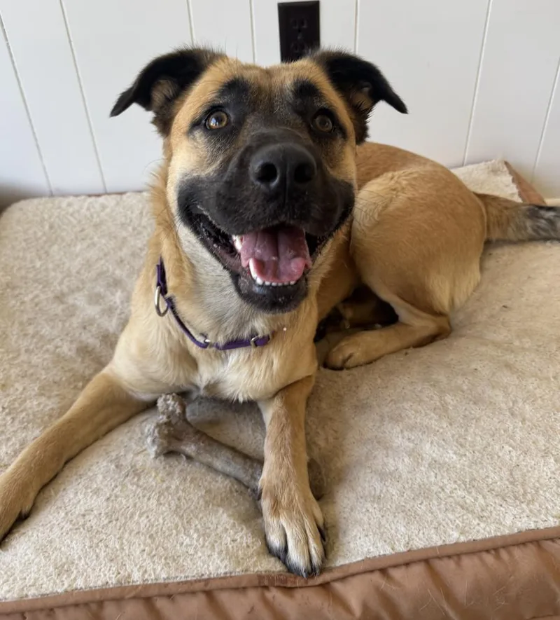 Princess thumbnail 5