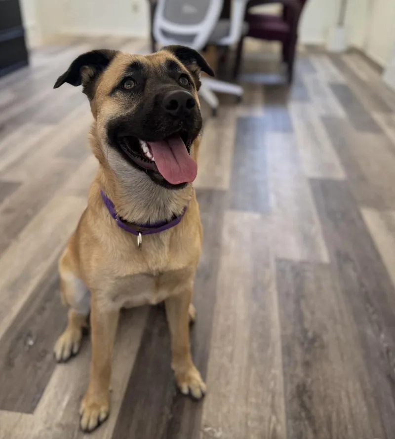 Princess thumbnail 6