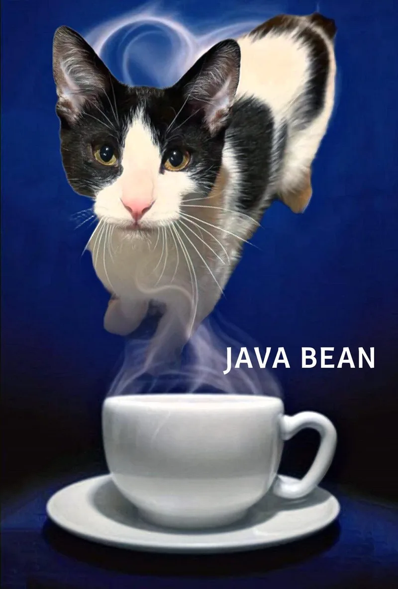 Java Bean thumbnail 2