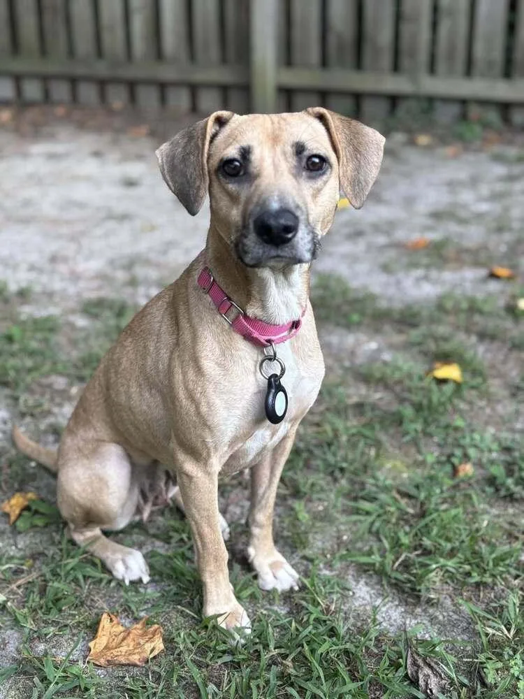 Robin Thebank thumbnail 4