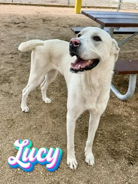 Lucy thumbnail 2