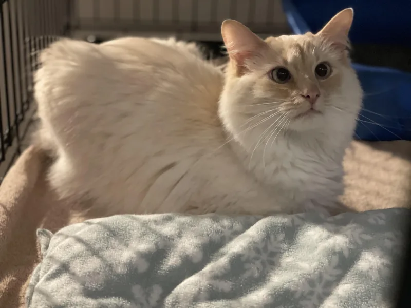 Casper thumbnail 2