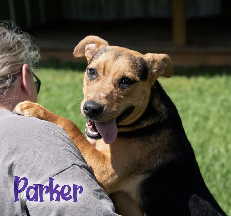 Parker thumbnail 2