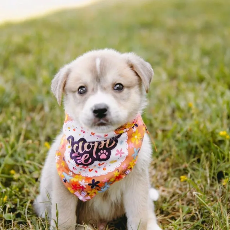 Squirt D Arriving thumbnail 3