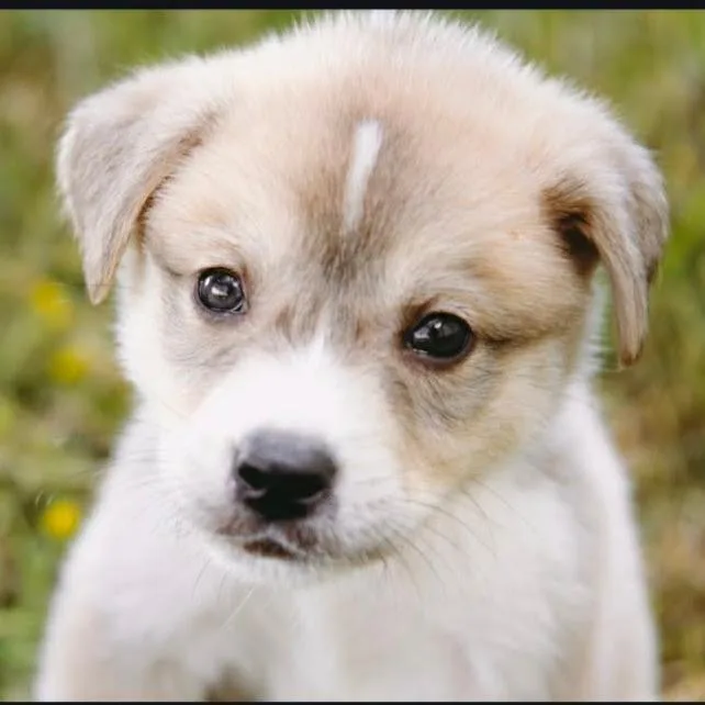 Squirt D Arriving thumbnail 5