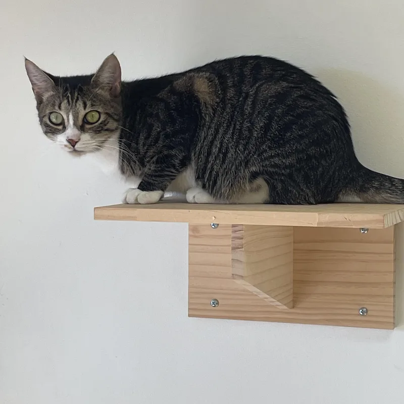 Jackpot! thumbnail 2