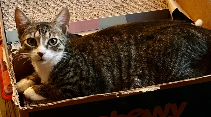 Jackpot! thumbnail 3