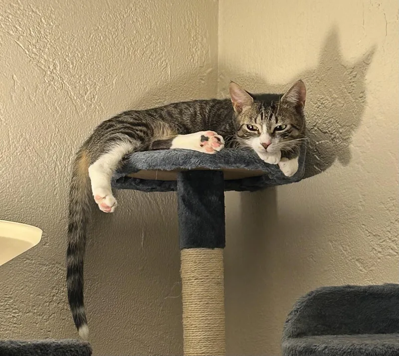 Jackpot! thumbnail 4