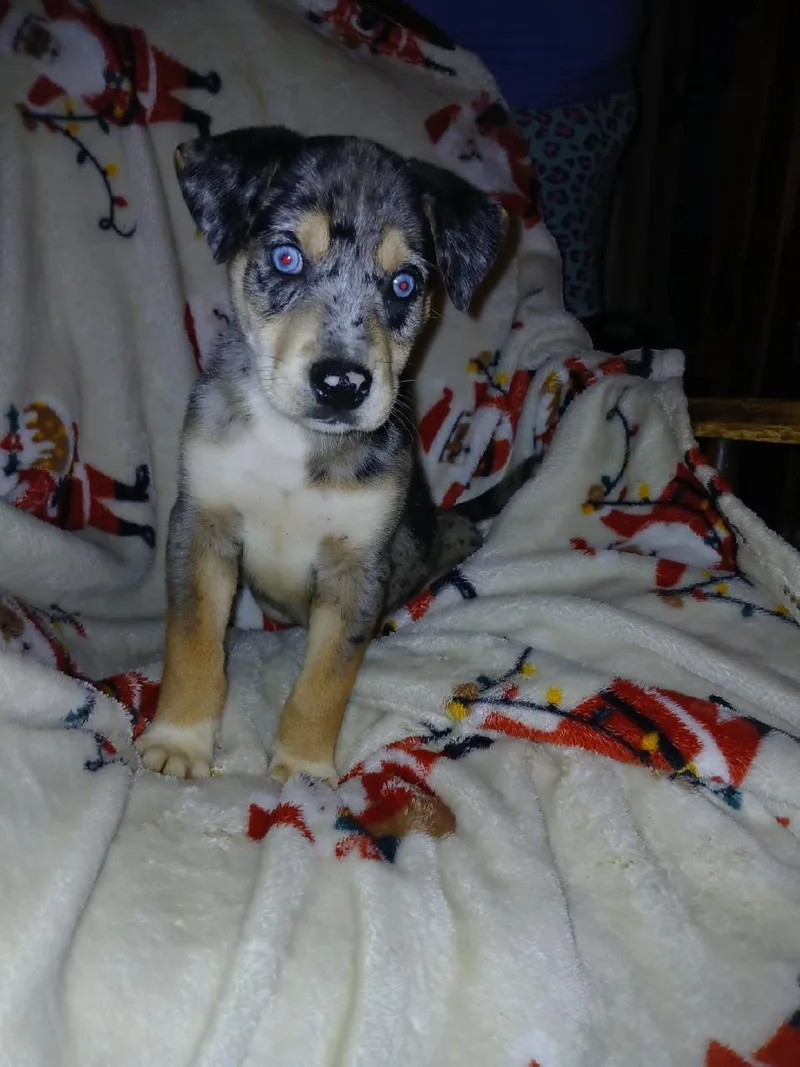 Matilda