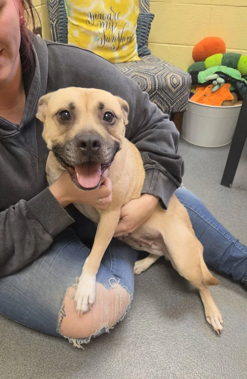 Zora thumbnail 6