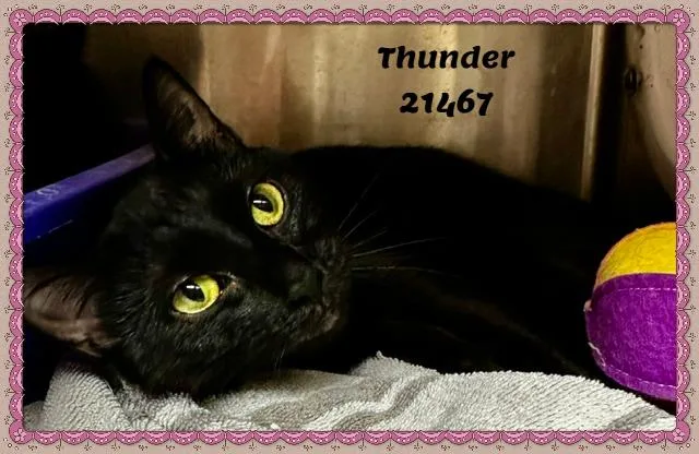 Thunder thumbnail 2