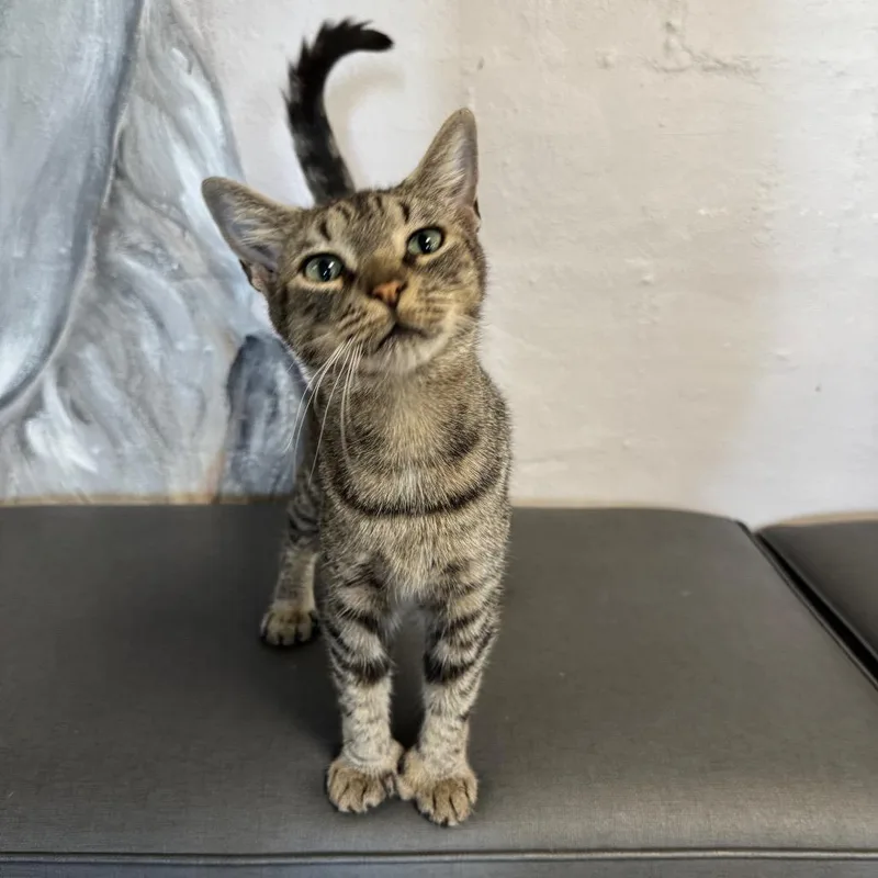 Little Miss Sunshine thumbnail 2