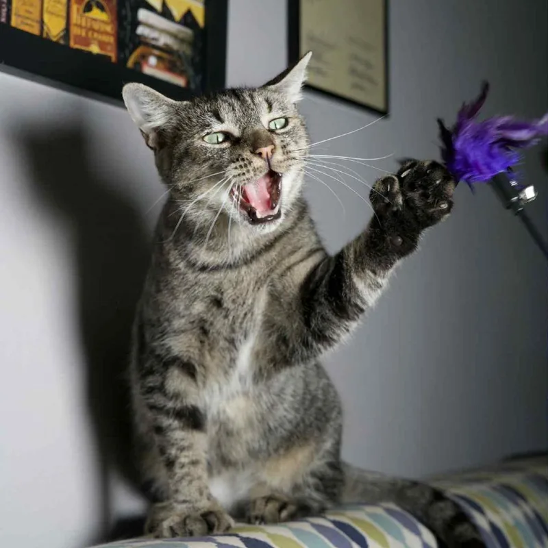 Little Miss Sunshine thumbnail 3