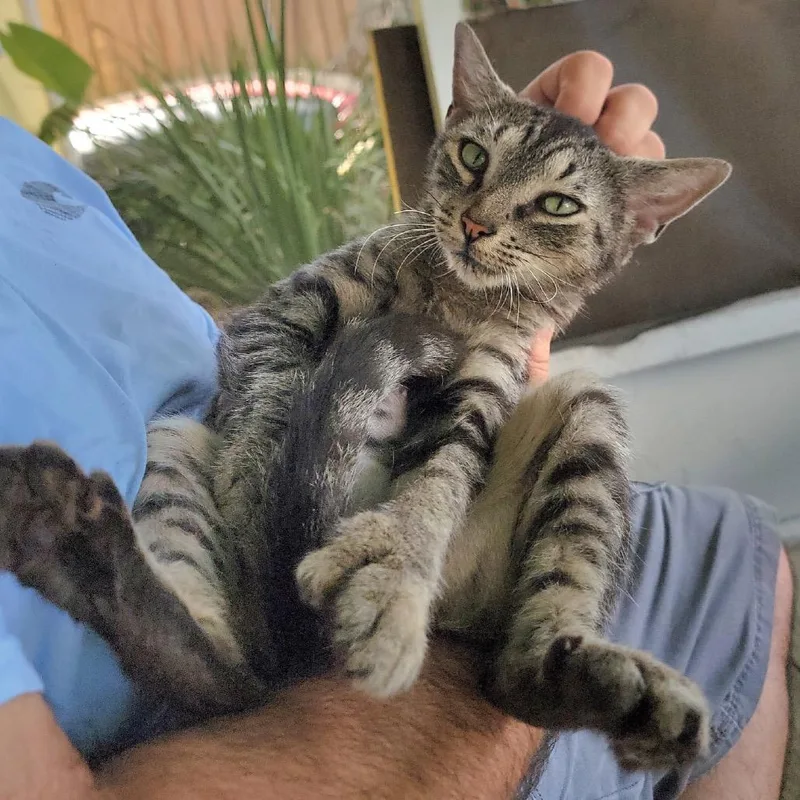 Little Miss Sunshine thumbnail 5