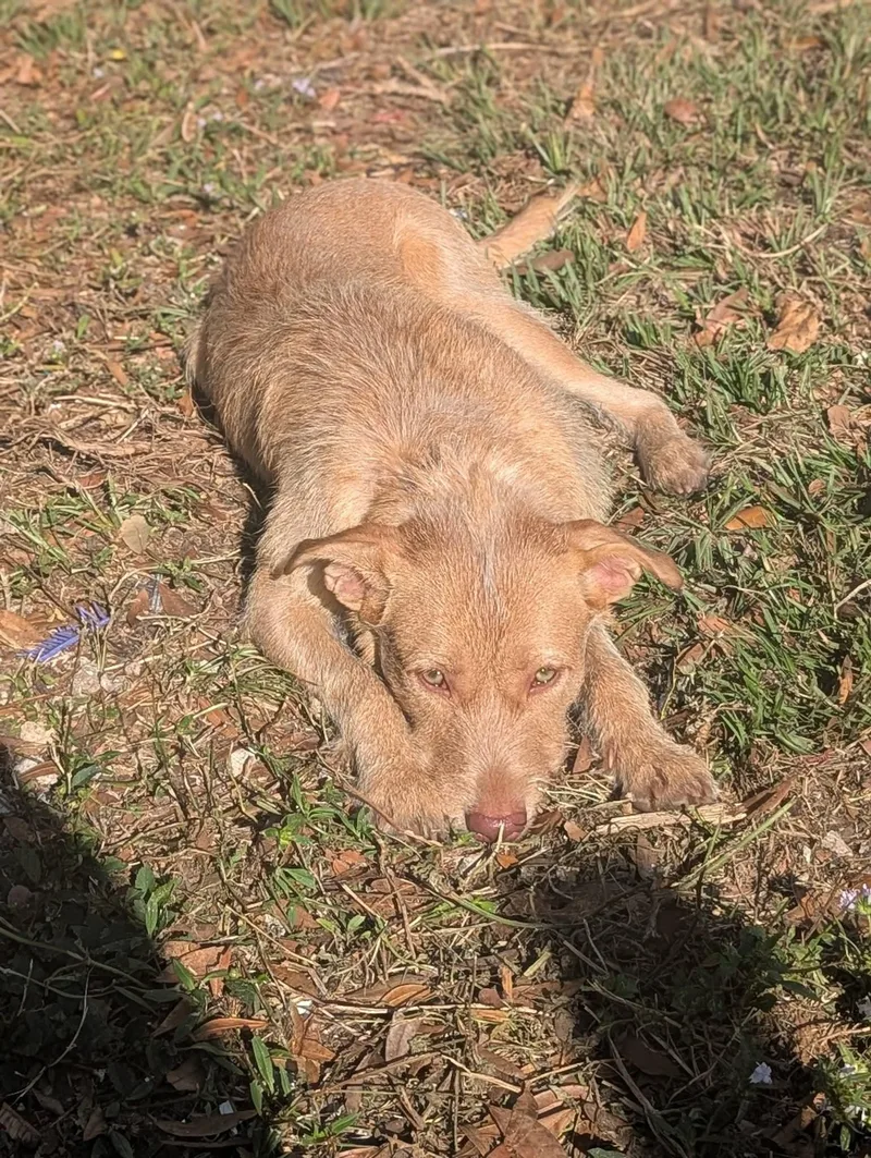 Maxine Aka Dumpling thumbnail 3