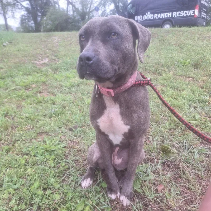 Victoria thumbnail 2