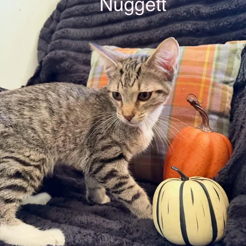 Benny Bean thumbnail 2