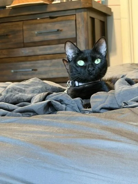 JiJi thumbnail 2