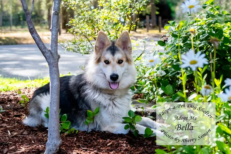 Bella thumbnail 3