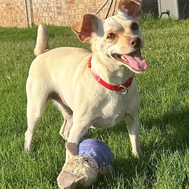 Sam