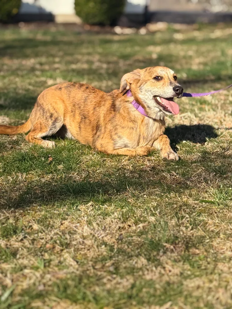 Scarlett thumbnail 2