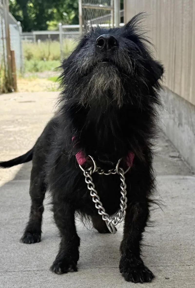 Maggie thumbnail 2
