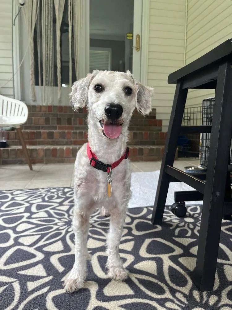 Opie
