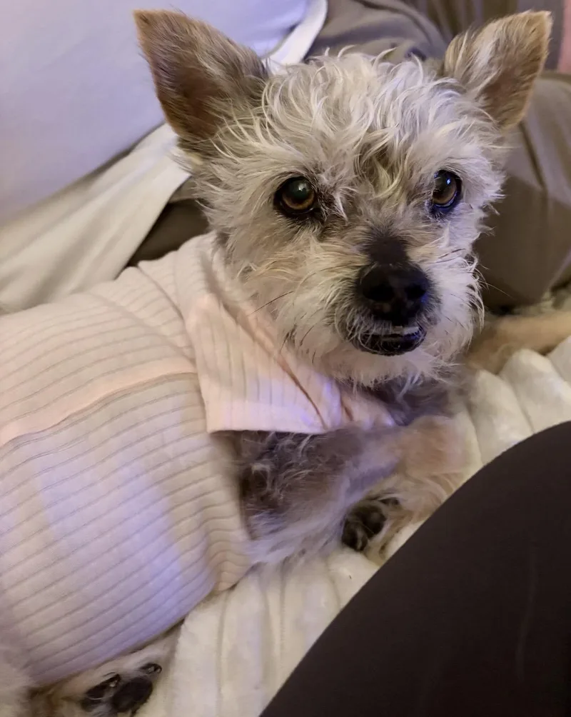 Milly thumbnail 3