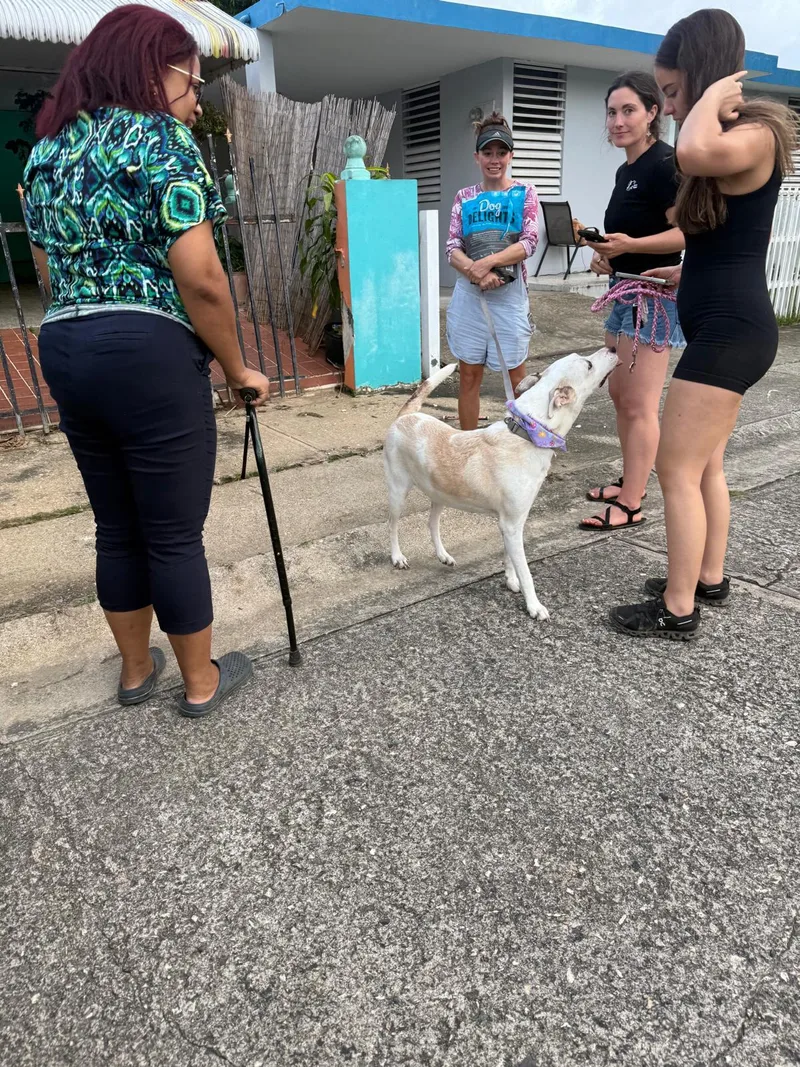 Blanca Luna thumbnail 5