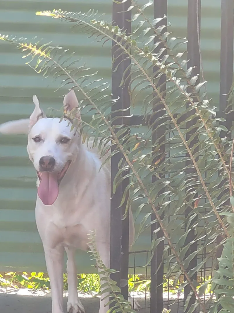 Blanca Luna thumbnail 6