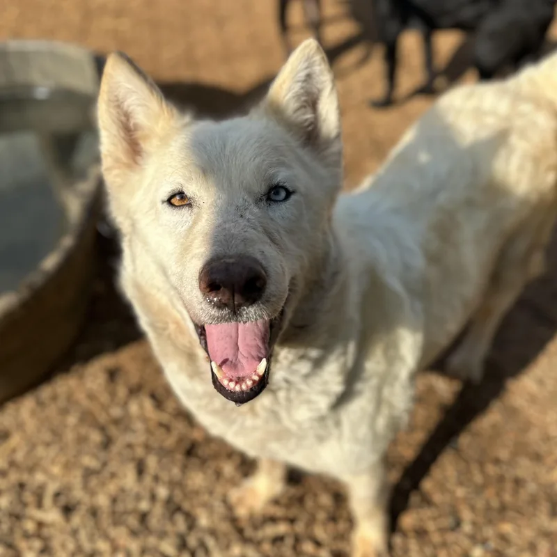 Tap Water thumbnail 4