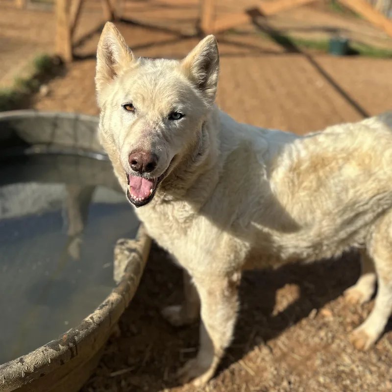 Tap Water thumbnail 5