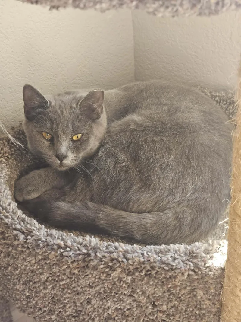 Sirena Jimenez thumbnail 2