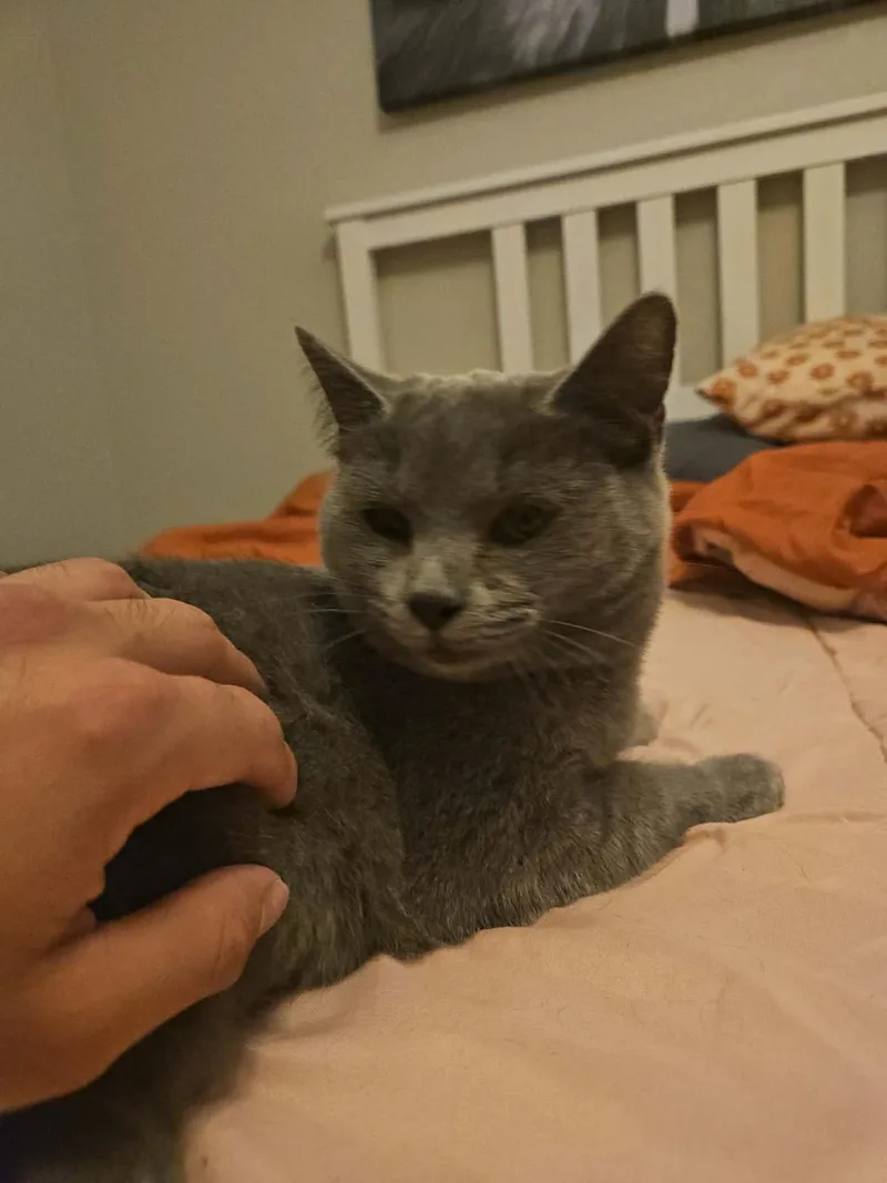 Sirena Jimenez thumbnail 3