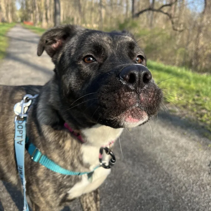 Mayzi "maemae" Lynn thumbnail 2