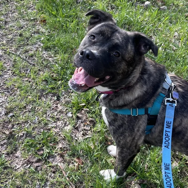 Mayzi "maemae" Lynn thumbnail 3