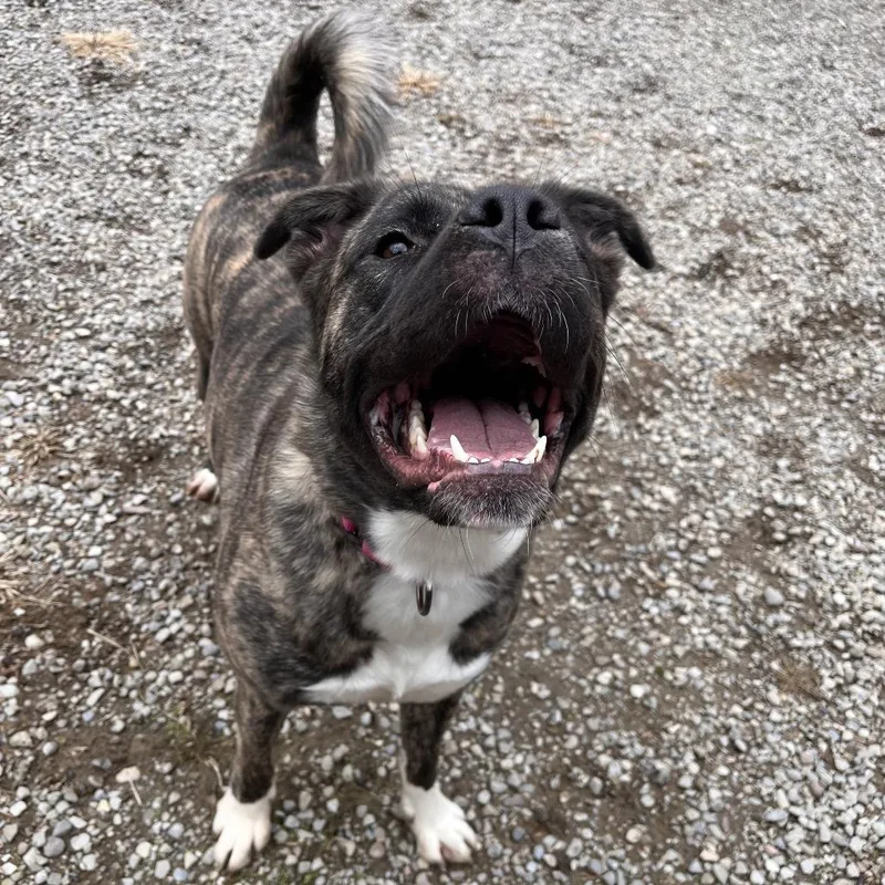 Mayzi "maemae" Lynn thumbnail 4