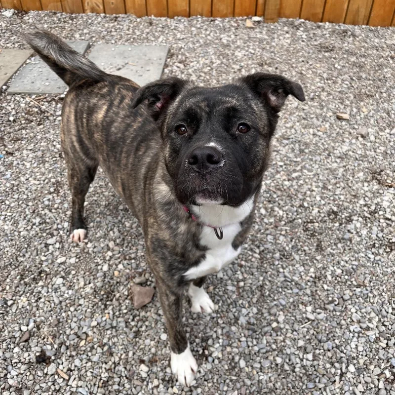 Mayzi "maemae" Lynn thumbnail 5