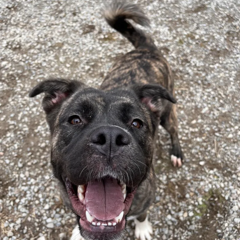 Mayzi "maemae" Lynn thumbnail 6