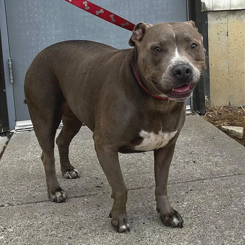 Sammie Sweetheart thumbnail 2