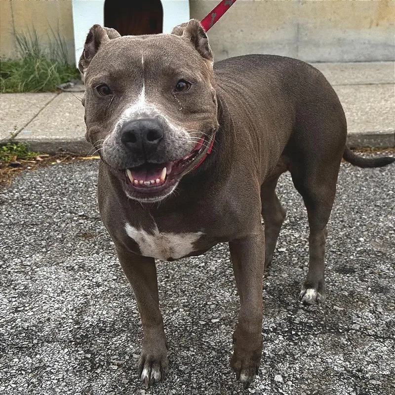 Sammie Sweetheart thumbnail 3