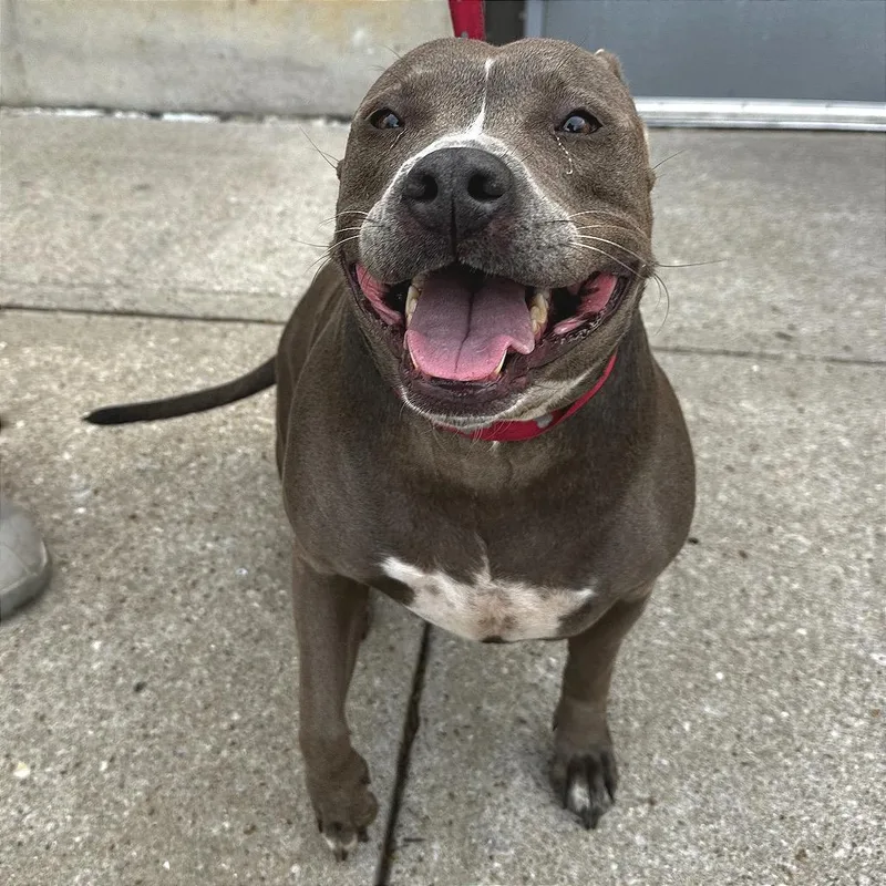 Sammie Sweetheart thumbnail 4