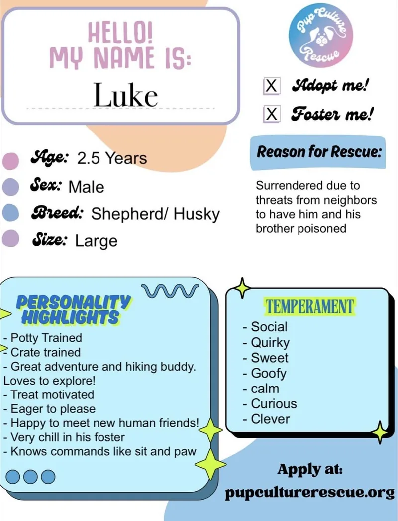 Luke thumbnail 6