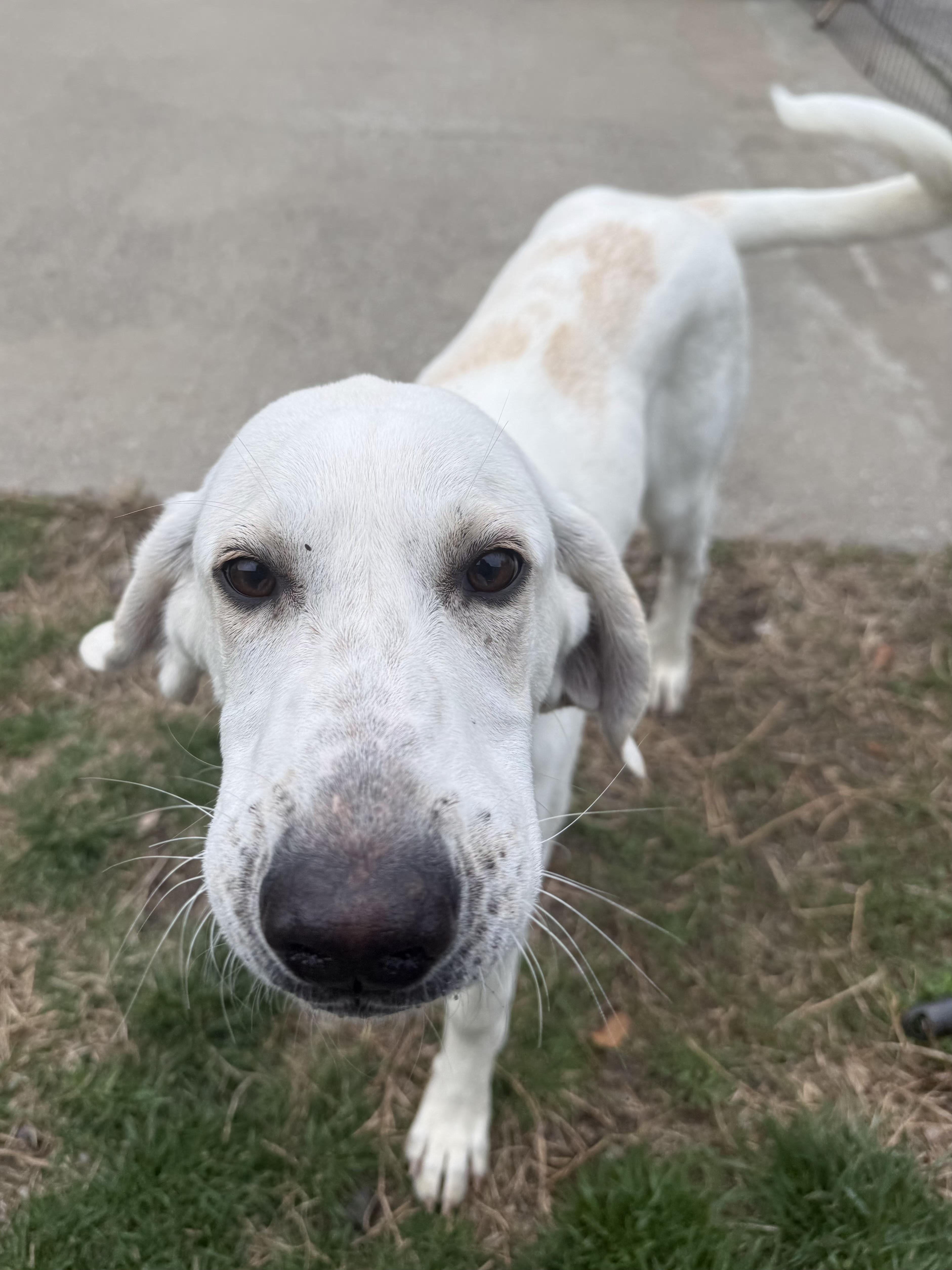 Betty White thumbnail 3